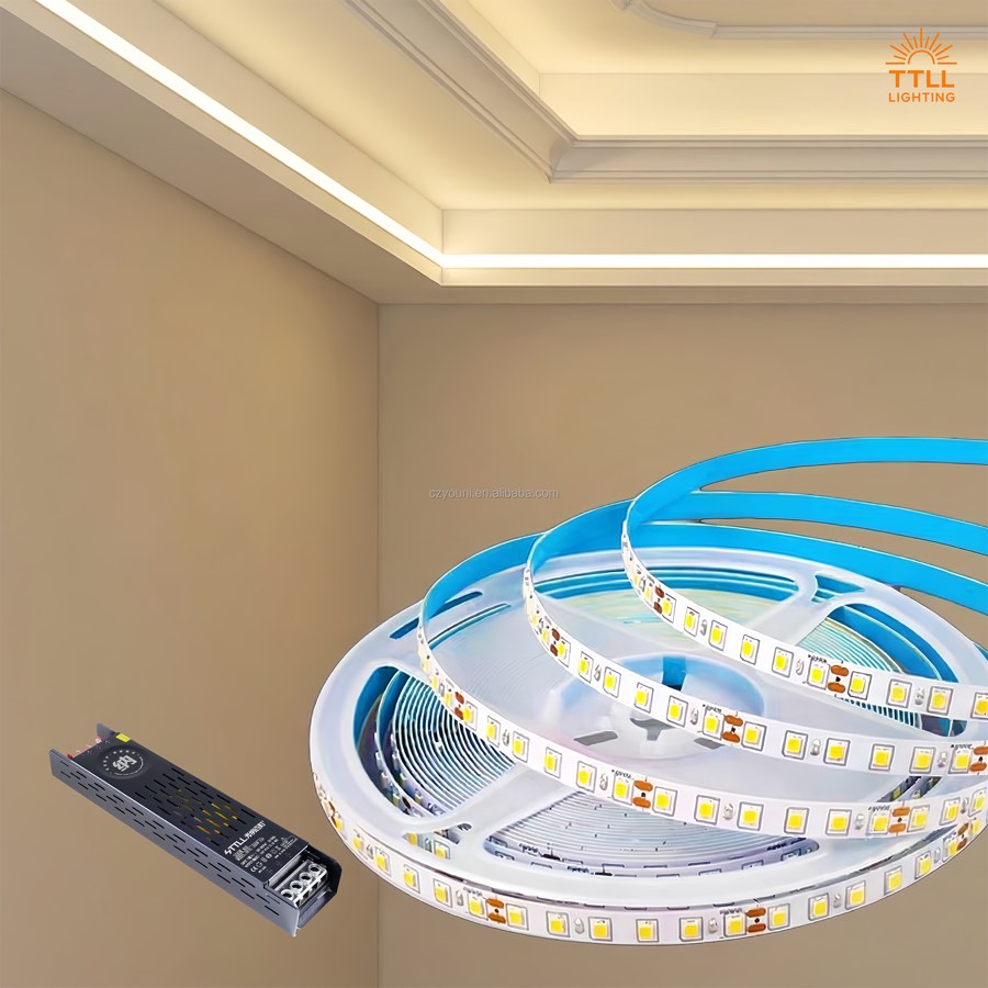 Custom 12V LED strip lights with OEM packaging support